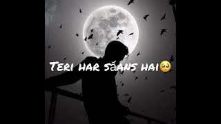Humraaaz ost /teri har Khushi ho gi dushmani Meri #boysattitude #ayezakhan #ferozekhan #humraaz #ost