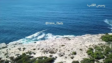 سورة الفاتحة مكررة للشيخ نايف الفيصل تلاوة رائعة تريح القلب والعقل