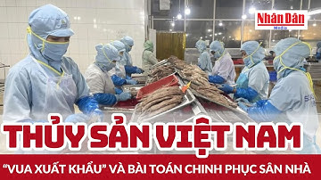 Thủy sản việt nam: “Vua xuất khẩu” và bài toán chinh phục sân nhà | Báo Nhân Dân