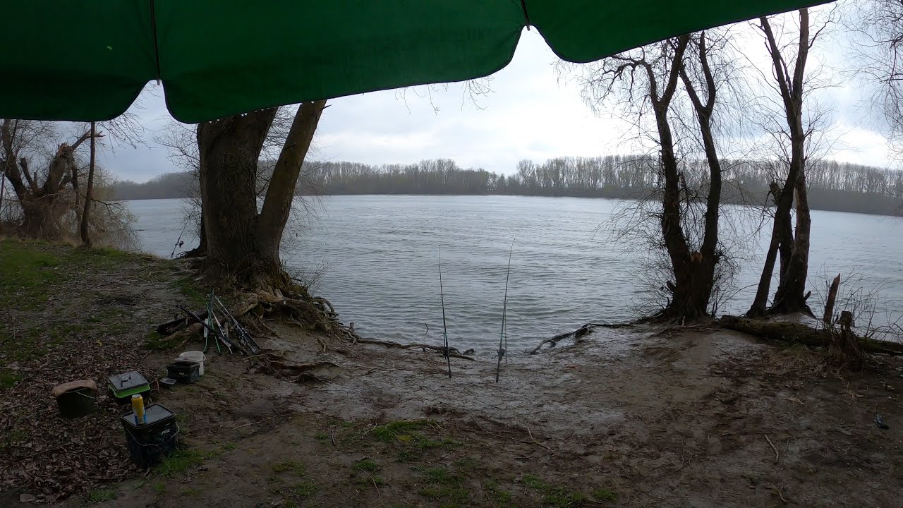 Pescuială pe Sf. Gheorghe la Victoria - Proțap de CRAP la GROAPĂ și câteva capturi frumoase 😘🐟🎣