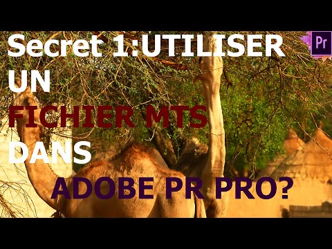 Vidéo: Était-ce le fichier mts ?