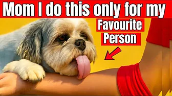 20 Things That Dogs Do ONLY for Their FAVORITE Humans