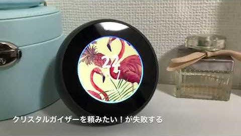 Echo SpotでAmazonのお買い物！失敗と成功編