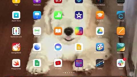 How to connect a Magic Mouse 2 to a iPad 6 generation