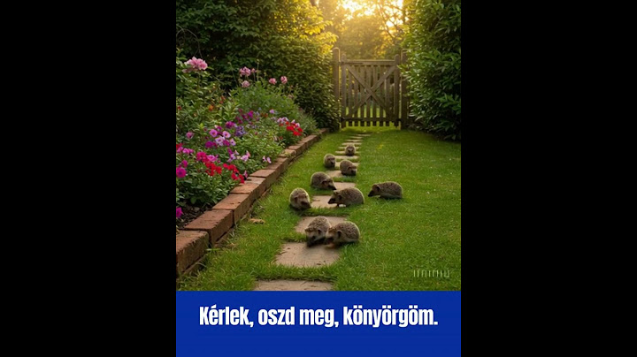 Ha meglátsz engem a kertedben, kérlek, adj enni és inni.