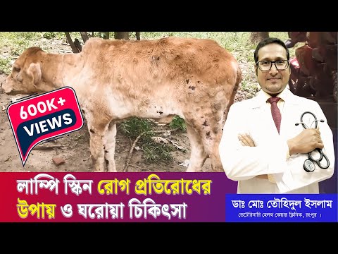 ভিডিও: গবাদি পশুর রোগ কিভাবে প্রতিরোধ করা যায়?