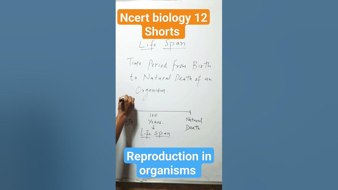 Life Span| Ncert biology 12| Reproduction in organisms| Shorts| - YouTube