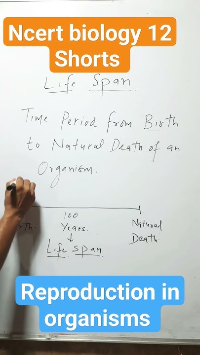Life Span Ncert Biology 12 Reproduction In Organisms Shorts YouTube life-span-ncert-biology-12-reproduction-in-organisms-shorts-youtube