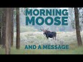 Morning Moose - And A Message
