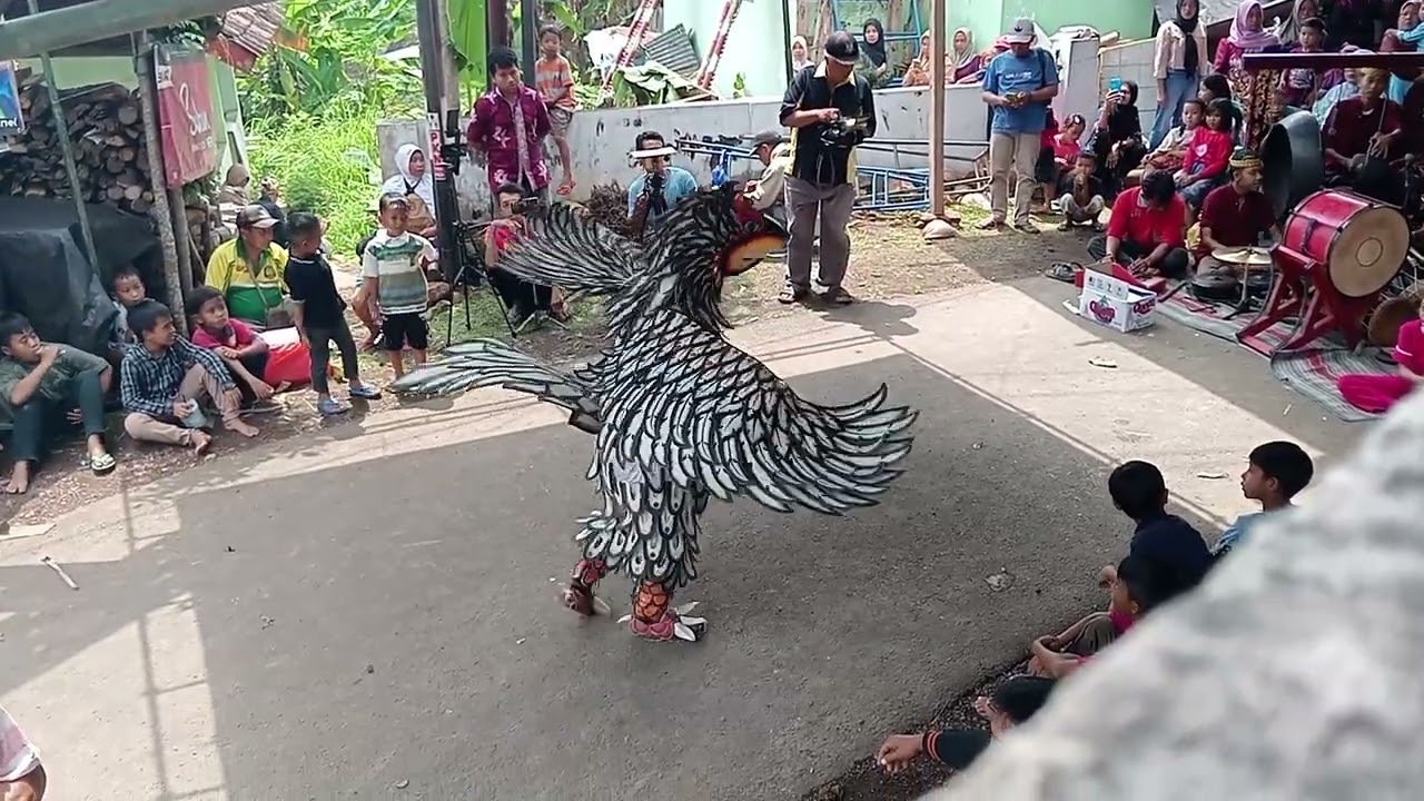 atraksi burung garuda dewi sekar wangi live delik lebak glagah banyuwangi