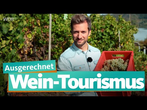 Video: Jordan Winery - Weinprobe, die Sie wirklich lieben werden