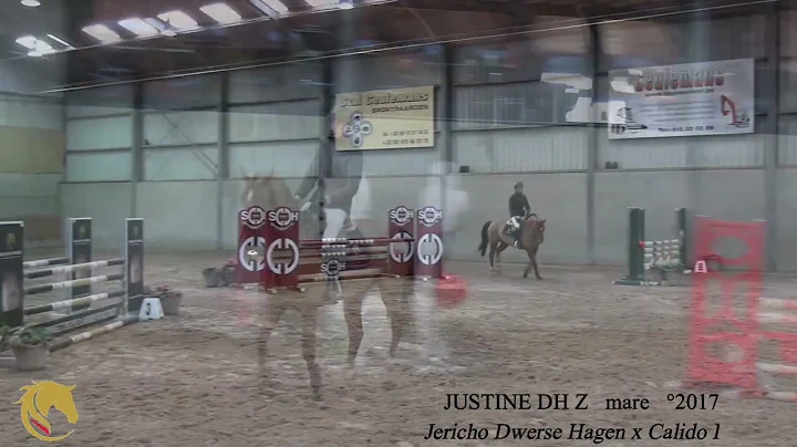 Justine dressage video, Jericho x Calido, mare, 20...