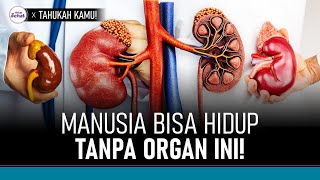 Fakta Unik Tubuh Manusia, Bisa Hidup Tanpa Organ Lengkap?! | Hidup Sehat tvOne