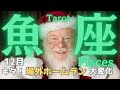 【魚座】12月の運勢🌈今年最後の場外ホームラン級の大変化🙌やはりテーマはチェンジなんですね🌈タロット占い