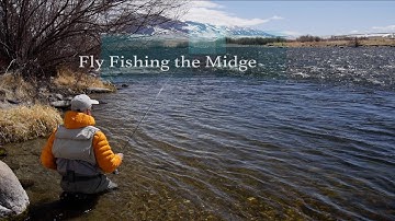 Fly Fishing the Midge