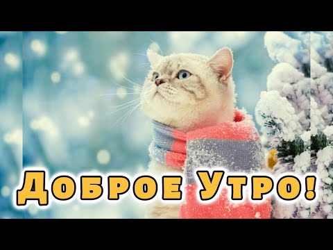 С ДОБРЫМ УТРОМ и Хорошим ДНЕМ! Красивая Музыкальная Открытка с Пожеланиями Доброго Утра! С. Чекалина