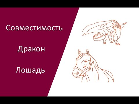 Совместимость Дракон Лошадь для пары: семья, любовь, бизнес, характер, отношения