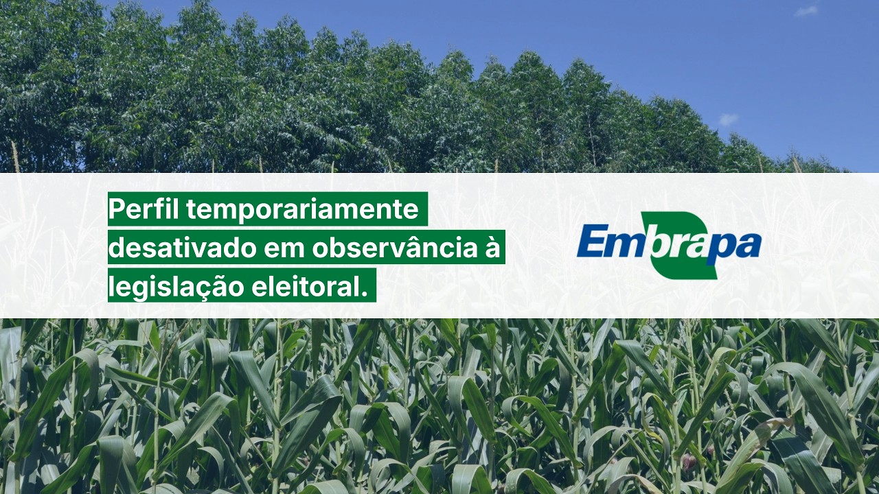 Aviso Defeso Eleitoral
