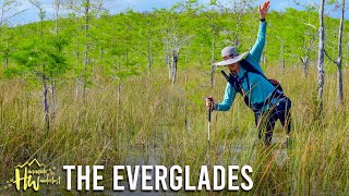 Dodging Gators and Morning Sickness In THE EVERGLADES