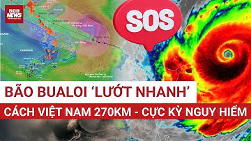 Khẩn: Bão số 10 Bualoi tăng tốc bất thường, 270 km áp sát đất liền – Giật cấp 14 cực kỳ nguy hiểm