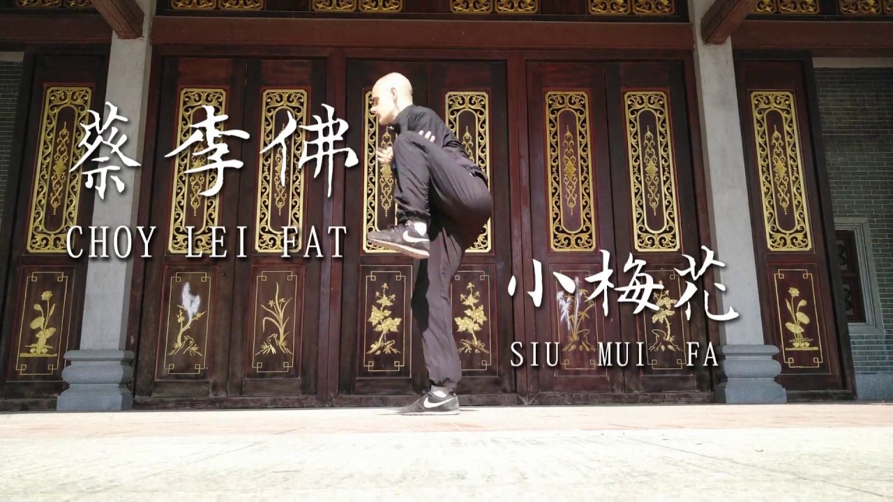 Choy Li Fut Siu Mui Fa Kyun 蔡李佛小梅花拳