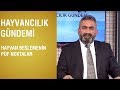 Hayvancılık Gündemi - Hayvan Beslemenin Püf Noktalar