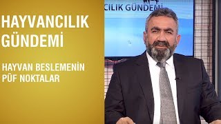 Download lagu Hayvancılık Gündemi Hayvan Beslemenin Püf Noktalar Hayvancılık Gündemi Hayvan Beslemenin Püf Noktalar