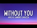 Avicii  sandro cavazza  without you lyrics