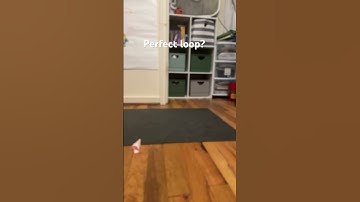 Did I win the trend? #funny #loop #satisfyingloop #endlessloop #perfectloop #cool