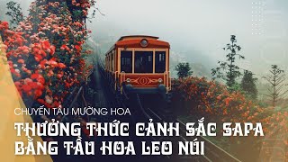 Muong Hoa train | Enjoy the scenery of Sapa by mountain train