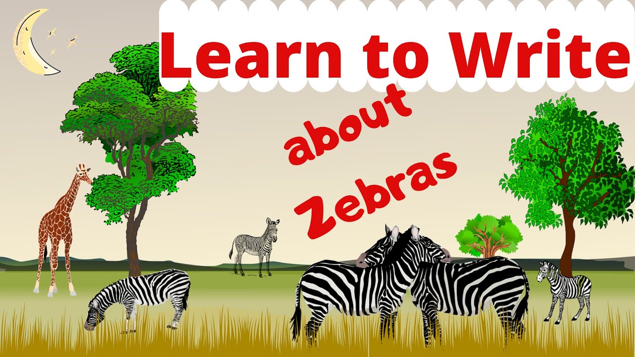 Writing: A Zebra - YouTube