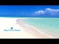 Miniature de la vidéo de la chanson King Of The Beach