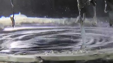 Maarten Vos & Tim Exile - Foxile