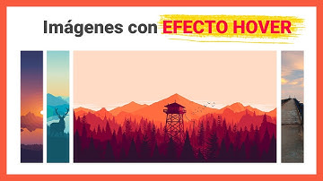 ¡GUAOO! 😲 Imágenes con EFECTO HOVER con puro CSS || MagtimusPro