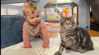 Adorable baby Boy Talks To His Kitten! (Cutest Ever!!)