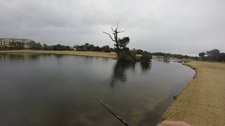 Big pond bass on a giant bluegill swimbait and jig...