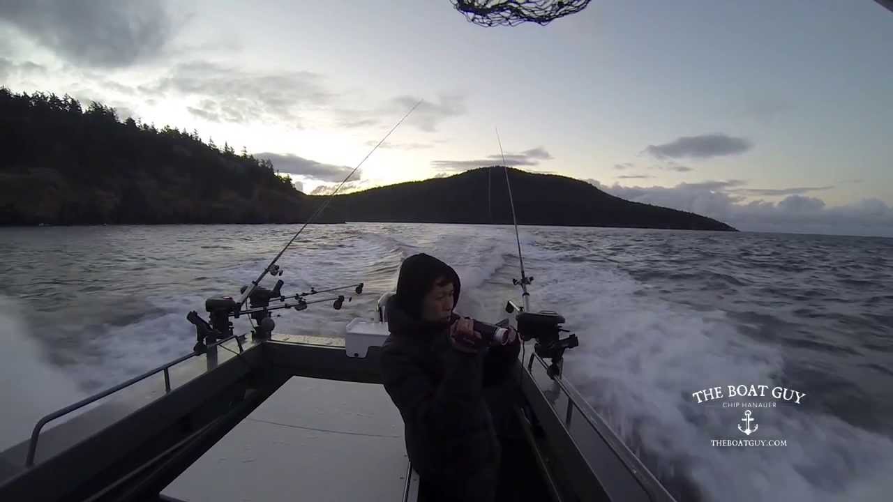 Blackmouth Salmon Fishing