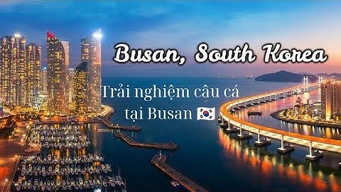 Trải nghiệm câu cá 🐟🐟 tại Hàn Quốc #shorts #shortvideo #viralvideo #korea #cuocsong #travel #xuhuong