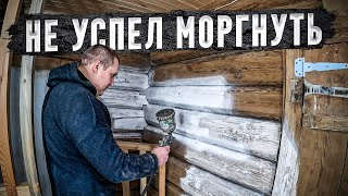 Ремонт старого дома, покрасили всех пауков - 12 