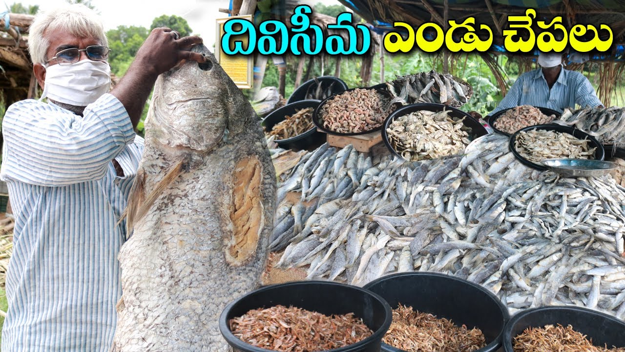 Diviseema Dry Fish Market Vijayawada Street Food ఎండు చేపల మార్కెట్
