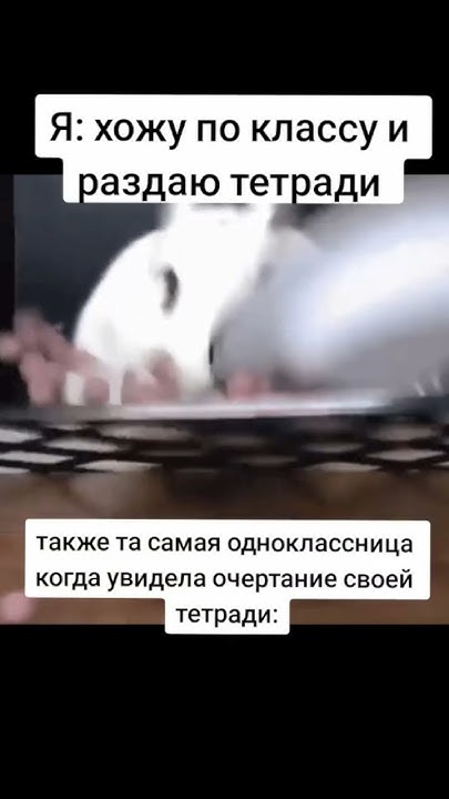 Плов: когда раздают тетради - YouTube