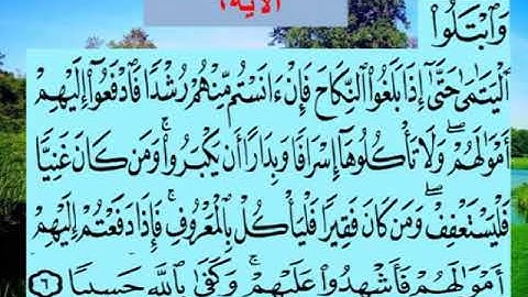 سورة النساء اية ٦ جمال القرش