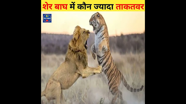 देखिए 🦁 शेर और बाघ 🐯 में कौन ज्यादा ताकतवर है #shorts #facts