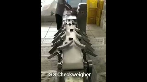 Multi-level Weight Sorting Machine for Crabs