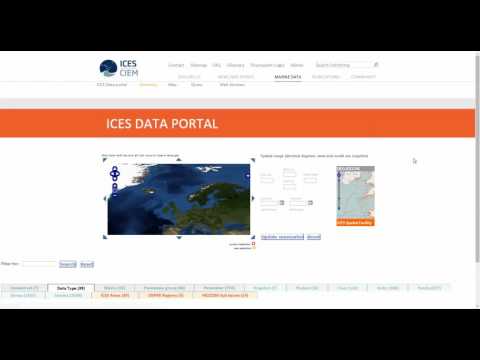 How do I navigate ICES data portal?