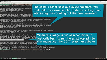 One Identity Safeguard - A2A password listener sample running in Docker