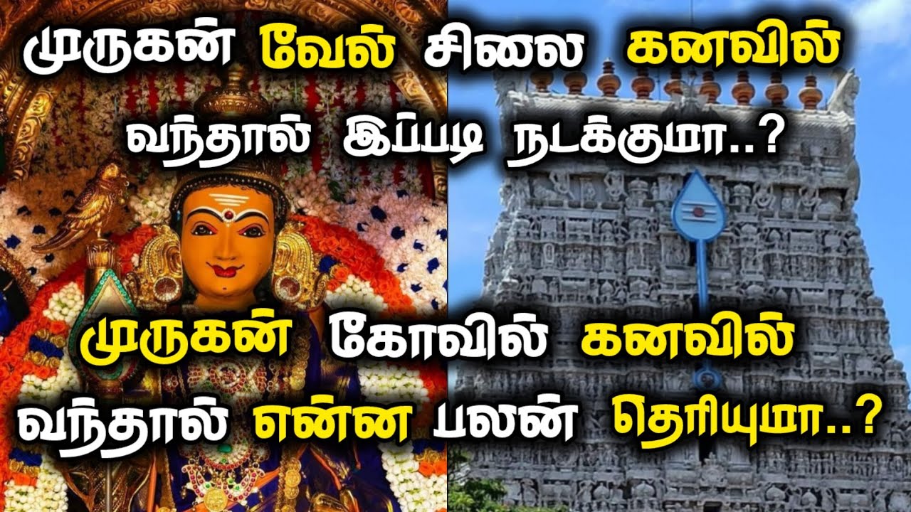 முருகன் கனவில் வந்தால் என்ன பலன் | murugan kanavu palan #murugan #tiruchendur #murugantemple #pooja