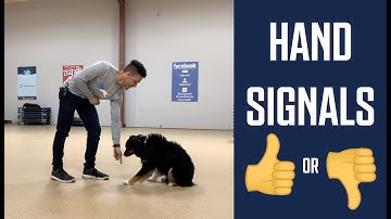 Dog Training with Hand Signals