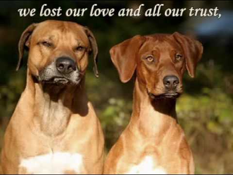 ERNESTO CORTAZAR - What happened between us - YouTube