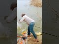 इस नंबर का मारा मछली भाई ने #fishing #fish #vlog #villagelife #nature